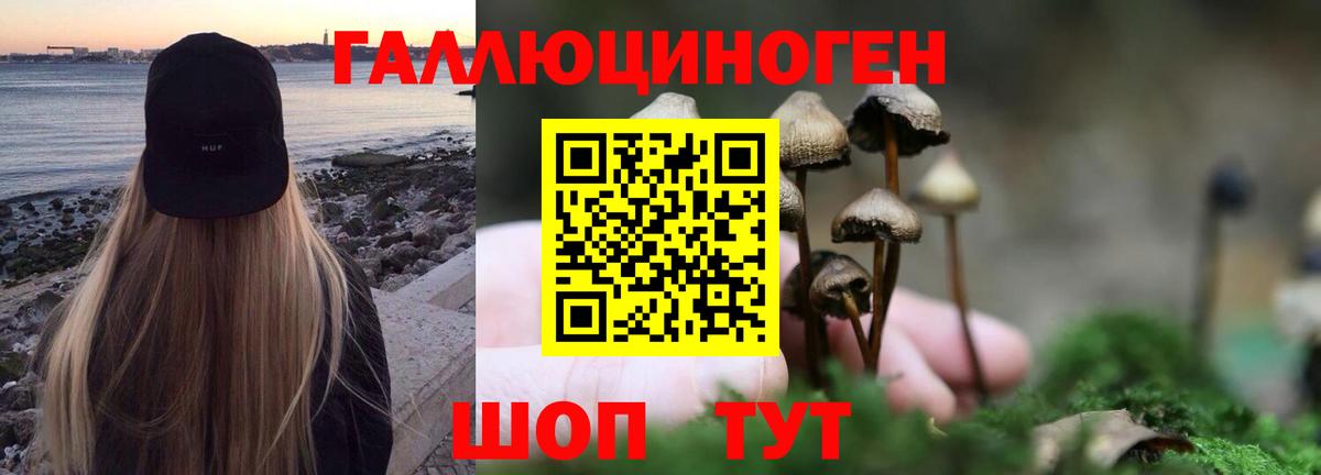 Жуковский  Галлюциногенные грибы мицелий  Вход с VPN 